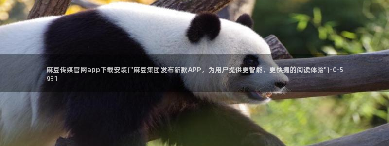 麻豆视频专区推荐：麻豆传媒官网app下载安装(\