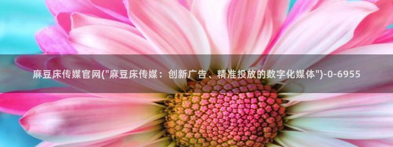麻豆视频 下载入口：麻豆床传媒官网(\