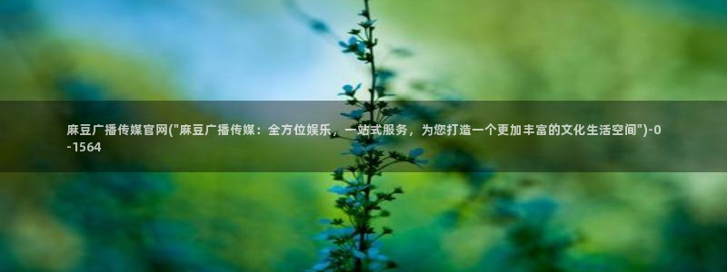 麻豆高清导航：麻豆广播传媒官网(\