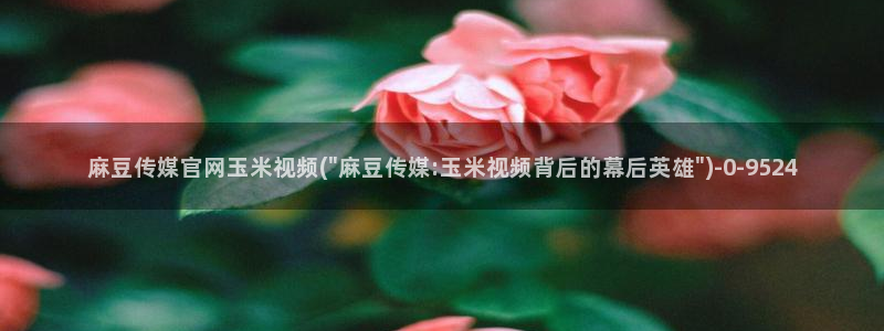 麻豆视频最新完整版：麻豆传媒官网玉米视频(\