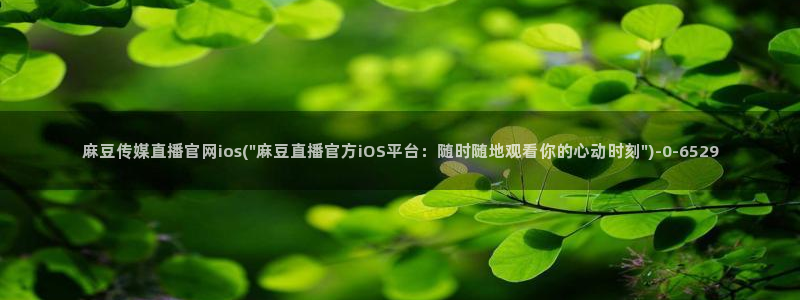 麻豆视频 下载导航：麻豆传媒直播官网ios(\