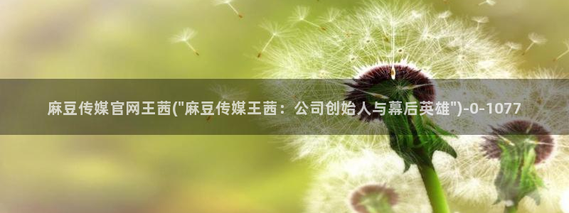 麻豆视频 入口下载：麻豆传媒官网王茜(\