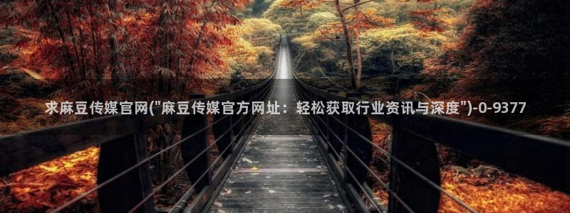 麻豆视频推荐视频：求麻豆传媒官网(\
