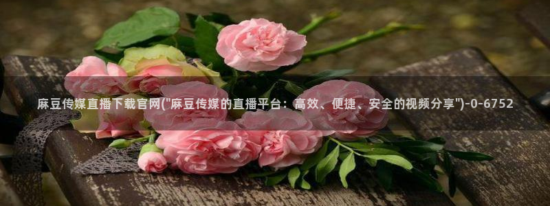麻豆视频 合集推荐：麻豆传媒直播下载官网(\