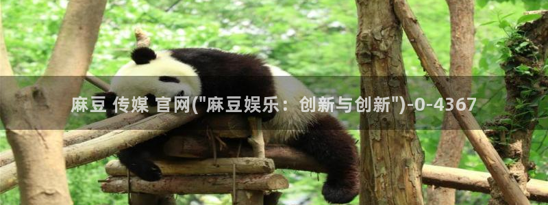 麻豆视频在线看合集：麻豆 传媒 官网(\