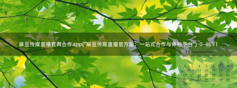 麻豆下载完整版：麻豆传媒直播官网合作app(\