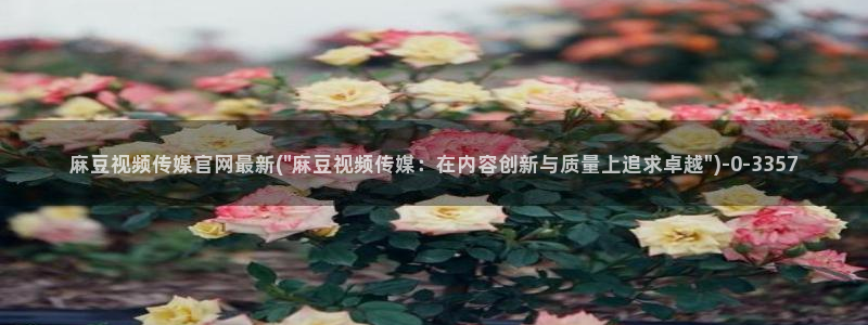 麻豆 高清：麻豆视频传媒官网最新(\