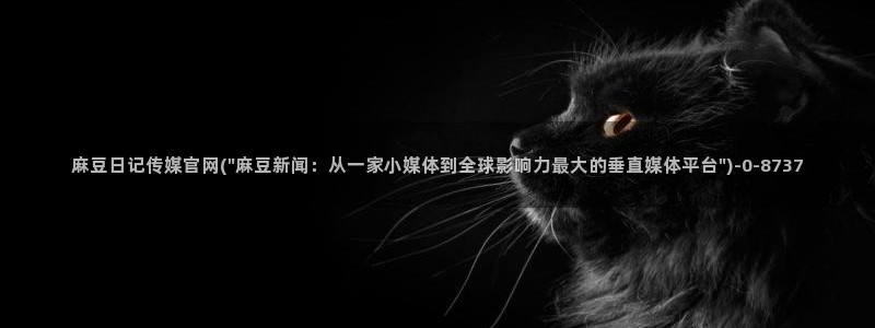 麻豆视频下载完整版：麻豆日记传媒官网(\