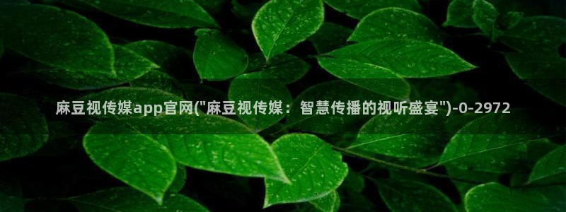 麻豆视频资源高清：麻豆视传媒app官网(\