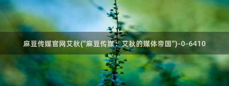 麻豆视频 站最新：麻豆传媒官网艾秋(\