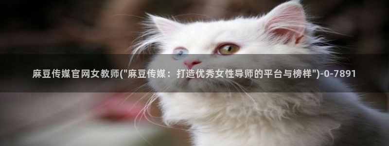 麻豆视频内容资源：麻豆传媒官网女教师(\