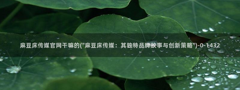 麻豆视频站页面：麻豆床传媒官网干嘛的(\