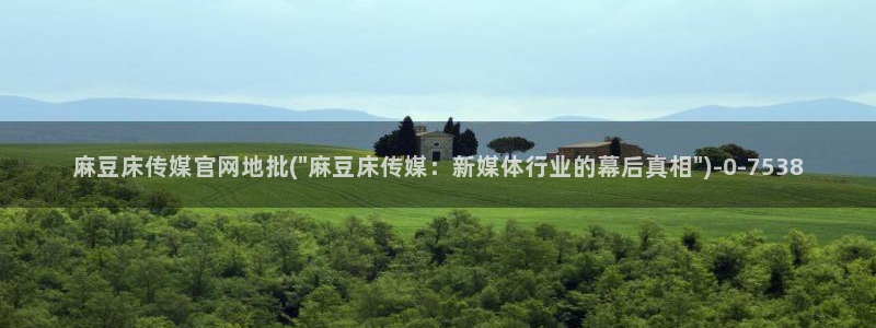 麻豆视频 资源更新：麻豆床传媒官网地批(\
