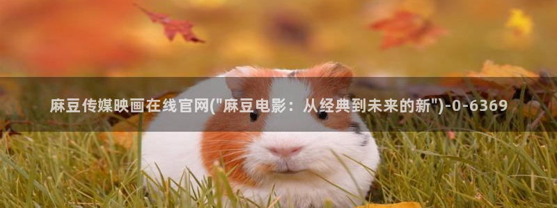 麻豆视频精选导航