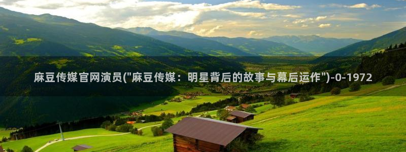 麻豆视频 完整版导航