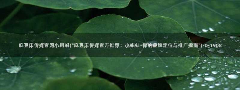 麻豆 下载更新